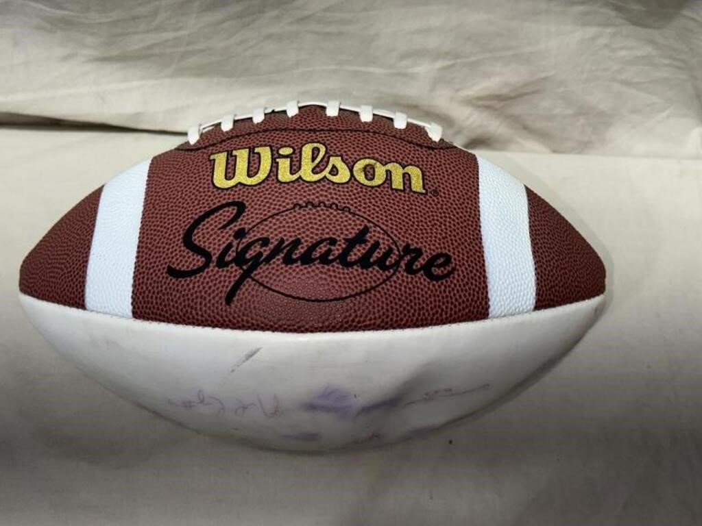Wilson Signature Football