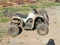 TAO TAO 4 WHEELER, 2WD, VIN:L5NAAHTJ6G1100344