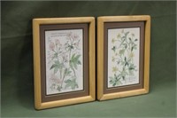 (2) Helen Bryant Wyman Watercolor Paintings