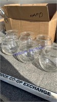 Light fixture globes (6)