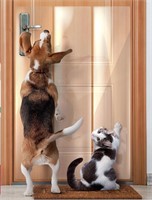 Door Guard Protector for Dog Scratchers