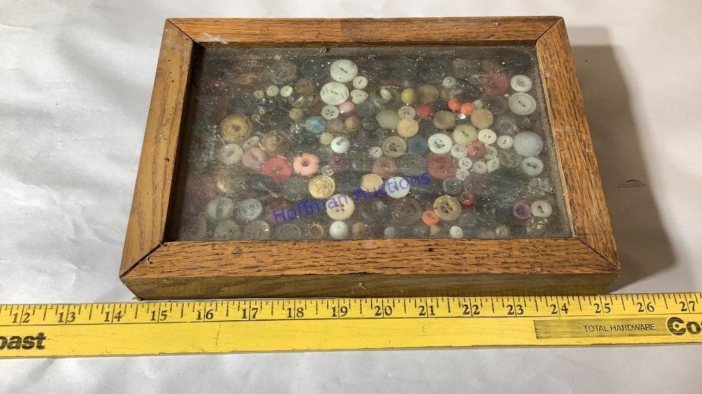 Button collection in display case
