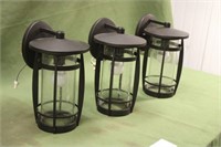 (3)Outdoor Led Coach Lights