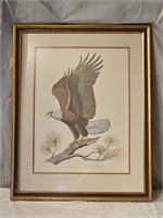 The American Bald Eagle by Albert Earl Gilbert