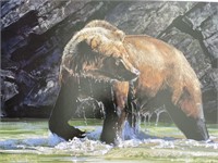 Illumination Grizzly Bear By Jackson Hole