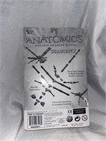 NIB- 2000 Anatomics -dragonfly