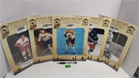 Hockey History books (5)