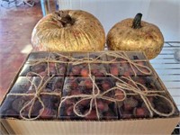 GROUP- PUMPKIN, ACORN DÉCOR