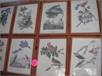(18) Audubon Prints