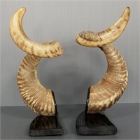 Pair rams horn bookends 12" tall