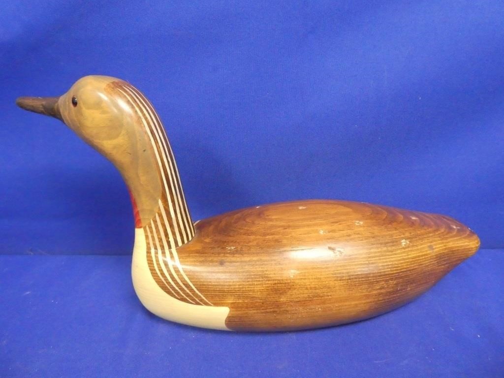 Signed Red Throated Loon