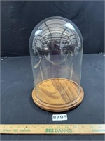 Large Glass Dome on Wood Base