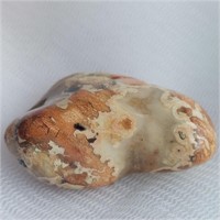 Leopardskin Jasper - Tumbled Gemstone
