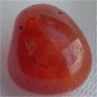 Carnelian - The Grounding Stone- Tumbled Gemstone