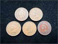 Lot of 5 Indian Head Pennies