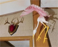 Mounted Horns, Art Hanging Bird (2)