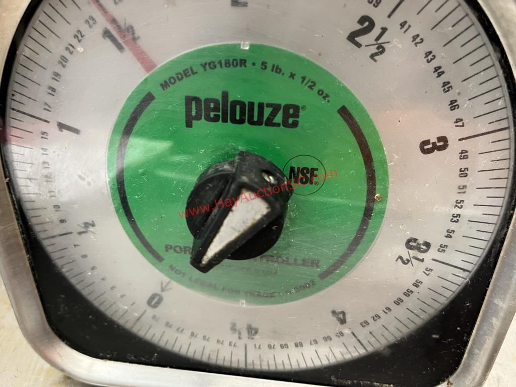 PELOUZE PLATFORM SCALE