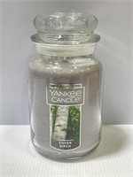 Yankee Candle Silver Birch - 22 oz