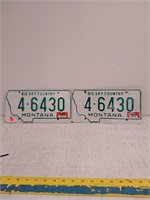 Vintage matching pair Montana license plate