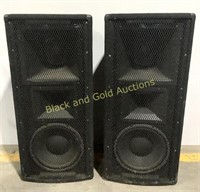 Large Crate Concert Speakers