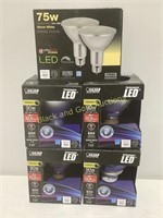 (5) New Warm Light & LED 90W & 75W Light Bulbs