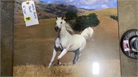 WHITE HORSE PRINT, 16X20"
