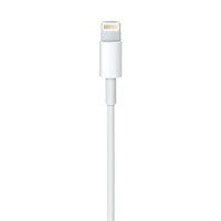 Apple Lightning to USB Cable (1m) -