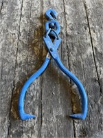 Blue tongs