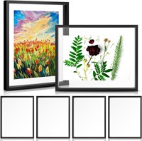 6pc 11x14 Floating Picture Frames Bulk