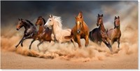 Horse Canvas Art Print (Framed 30x60 inch)