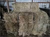 10-Bales of Brome, Timothy, Fescue
