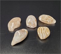 5 Freefoam Polished Orca Agate Specimens vtg