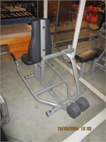 Life Fitness Triceps Press exercise machine