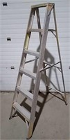 6" Featherlite Ladder