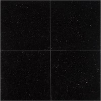 Black Galaxy 12x12 in. Granite Floor/Wall Tile