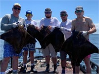 4 Man, 4 Hour Sting Ray Bow Fishing Trip