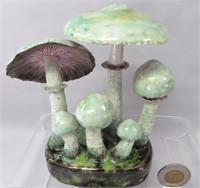 Lorenzen mushroom, Stropharia Aeruginosa, 5.75"h