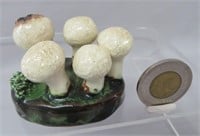Lorenzen mushroom, Lycoperdon gemmatum, 2" h.