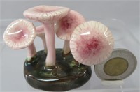 Lorenzen mushroom, Mycena Pura, 2" h.