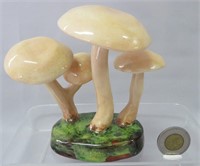 Lorenzen mushroom, Clitocybe Multiceps, 6 3/4" h.