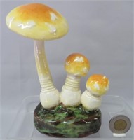 Lorenzen mushroom, Amanita Muscaria