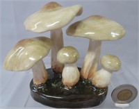 Lorenzen mushroom, Tricholoma Saponaceum,