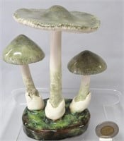 Lorenzen mushroom, Amanitopsis Umbrinolutea,