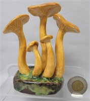 Lorenzen mushroom, Clitocybe Illudens, 5 3/4" h.