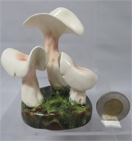 Lorenzen mushroom, Helvella Elastica, 4" h.,