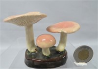 Lorenzen mushroom, Russula Fragilis, 3 1/3" h.
