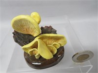 Lorenzen mushroom, Pleurotus Oidulan,