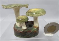 Lorenzen mushroom, Russula Olivacea, 2 1/2" high.
