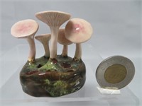 Lorenzen mushroom, Mycena Pura, 2 1/4" h.