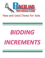 BID INCREMENTS